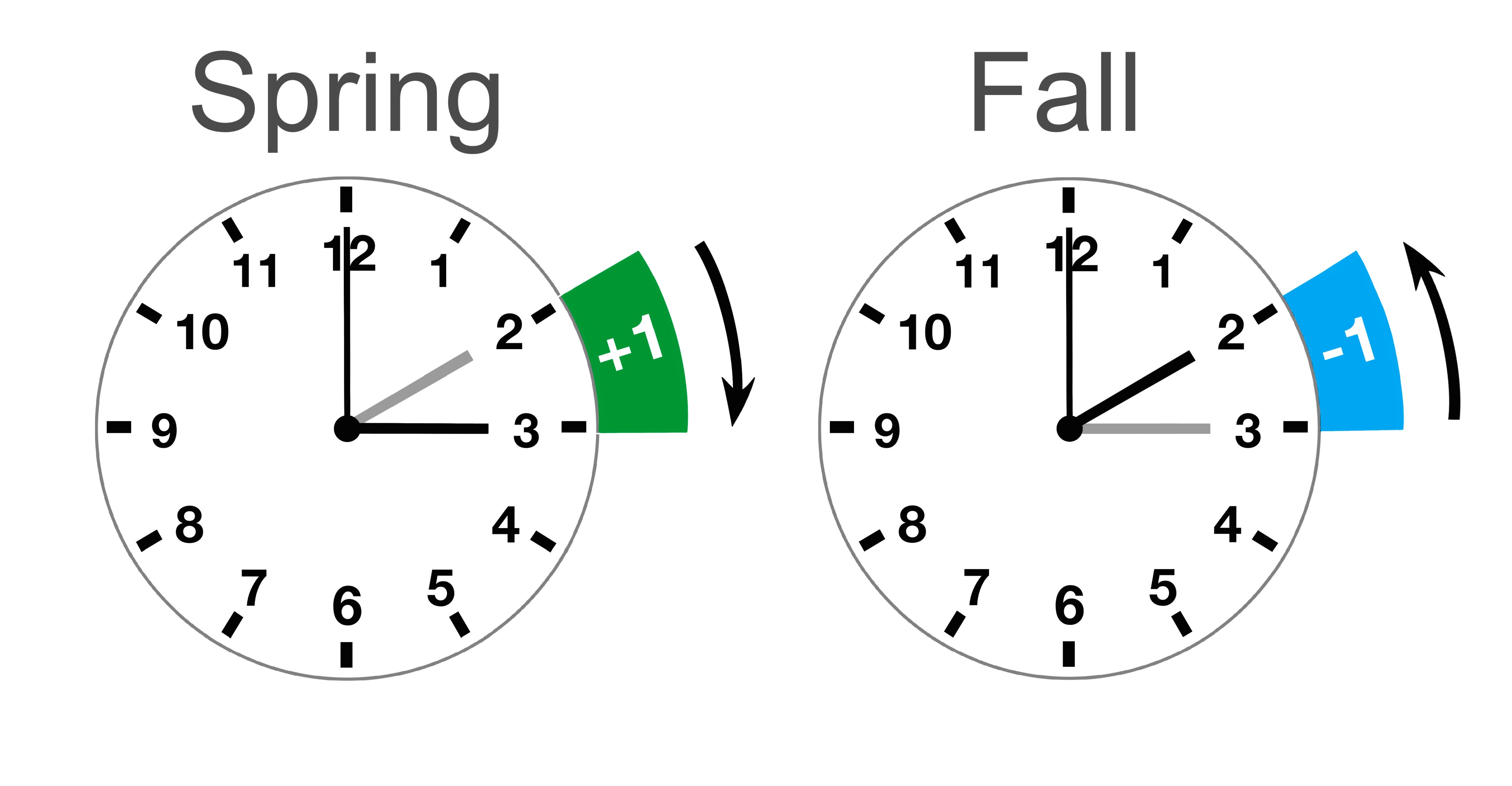 2024 Fall Back Clock Dayle Erminie